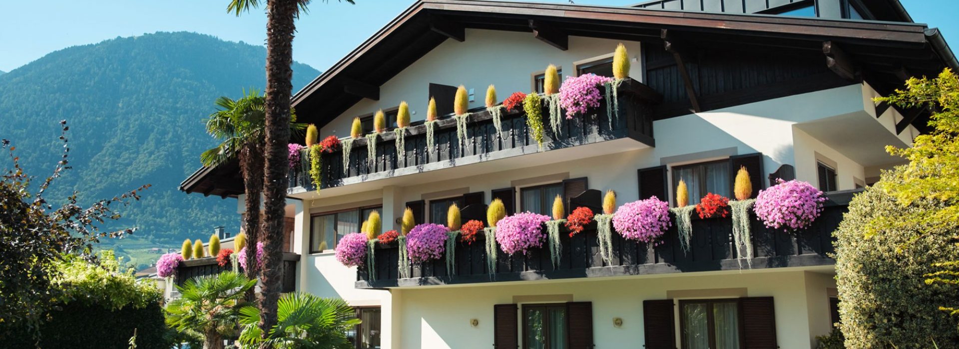 Hofstätt